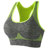 Elite Heather Sculpt Sports Bra