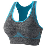 Elite Heather Sculpt Sports Bra